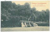 643 - BOCSA MONTANA, Caras-Severin, Parcul Sanatoriului - old postcard - unused