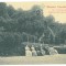 643 - BOCSA MONTANA, Caras-Severin, Parcul Sanatoriului - old postcard - unused