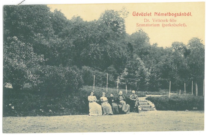 643 - BOCSA MONTANA, Caras-Severin, Parcul Sanatoriului - old postcard - unused