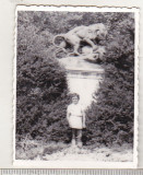 Bnk foto - Buzau - Parcul Crang - statuia Leu si porc salbatic - anii `70, Alb-Negru, Romania de la 1950, Cladiri