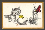 CPIB 20197 CARTE POSTALA - FELICITARE - PISICA, OU, FLUTURE