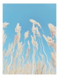 Tablou Canvas, "Dansul ierbii &icirc;n bătaia v&acirc;ntului", Nori, Albastru, Flori, Delicate, &Icirc;nălțare, Pastel, Cer, Liniște, 26 x 39 cm, CMCLASS
