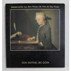MEISTERWERKE AUS DEM MUSEU DE ARTE DE SAO PAOLO von RAFFAEL BIS GOYA von ETTORE CAMESASCA , 1989