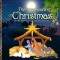The true meaning of Christmas: Jesus birth story Nativity book for children with references from the Bible