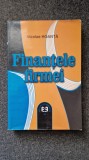 FINANTELE FIRMEI - Hoanta