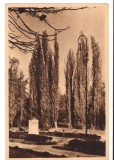 CPIB 17542 CARTE POSTALA - CARACAL. PARCUL, RPR, LIBRARIA NOASTRA, Necirculata, Fotografie