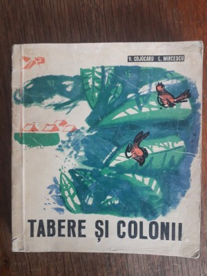 Tabere si colonii - V. Cojocaru / R2P3S foto