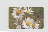 bnk card Cartele telefonice - Romania Romtelecom 2003 Flowers 9 (1st Printing) - Col:RO-ROM-0187A