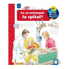 Ce se întâmplă la spital? - Hardcover - Andrea Erne - Casa