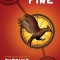 Catching Fire