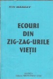 Ecouri din zig-zag-urile vietii - Ion Manzat