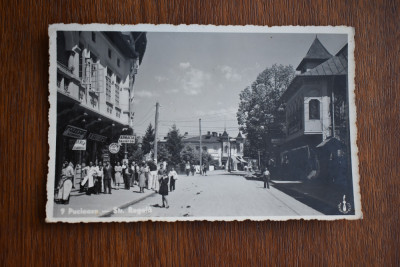 CP Pucioasa Str. Regala reclame Frizeria Alexandrescu 1939 foto