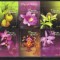 MEXIC 2010, Flora, MNH, serie neuzata