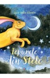 Iepurele din stele - Ana-Iulia Glonin