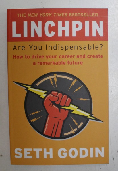 LINCHPIN , ARE YOU INDISPENSABLE ? HOW TO DRIVE YOUR CAREER AND CREATE A REMARKABLE FUTURE by SETH GODIN , 2010