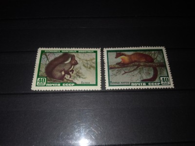 TIMBRE URSS 1959 FAUNA foto