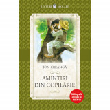 Amintiri din copilarie - Ion Creanga, Litera