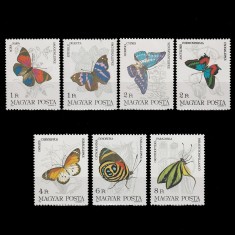 Lepke V (Fluturi V) LP3636-3642 Ungaria 1984