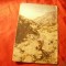 Ilustrata RPR 1952 Mtii Bucegi - in drum spre Omul, circ.Slanic Moldova - Sighet