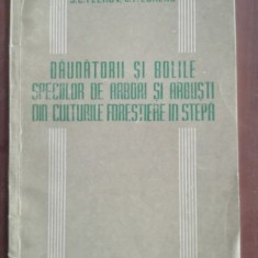 Daunatorii si bolile speciilor de arbori si arbusti din culturile forestiere in stepa- S.C. Flerov, C. F. Lorens