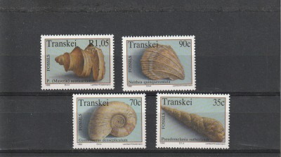 Fauna,Transkei. foto
