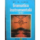 St. M. Ilinca - Gramatica instrumentala (1995)