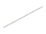 Bandă LED Alb Cald 24V 120LED/m IP20