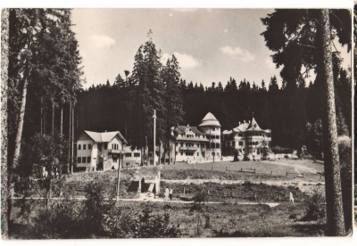 CPIB 22738 - CARTE POSTALA - BORSEC. VEDERE DIN STATIUNE, RPR foto