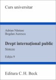 Drept international public | Adrian Nastase, Bogdan Aurescu