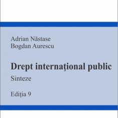 Drept international public | Adrian Nastase, Bogdan Aurescu