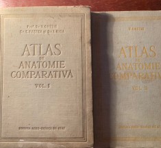 Atlas de Anatomie Comparativa V.Ghetie, vol1+vol2 foto