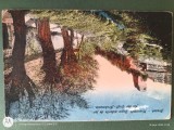 BRASOV -PARCUL ,CARTE POSTALA interesanta , ,