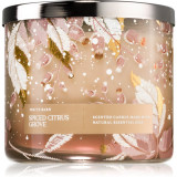 Bath &amp; Body Works Spiced Citrus Grove lum&acirc;nare parfumată 411 g