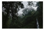 Tablou Canvas, "Cascada și liniștea pădurii tropicale", Natură, Pădure, Cascade, Ceață, Vegetație, Liniște, Sălbăticie, Verdeață, Umiditate, 39 x 26 c