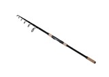 Lanseta Telescopica FL Eternity Tele Carp, Up To 150g, 3.30m