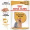 Royal Canin YORKSHIRE TERRIER Hrana Umeda Caine