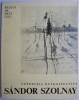 Expozitia Retrospectiva Sandor Szolnay (1893-1950) - Album Pictura, Carte Arta