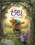 Cei trei prieteni magici: Cum sa fii un urs curajos - Stefanie Dahle - Didactica Publishing House