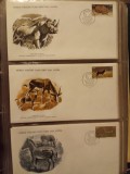 FAUNA WWF - 3 PLICURI PRIMA ZI