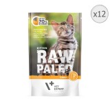Hrana umeda pentru pisici Raw Paleo, Junior, Curcan, 12 x 100 g, VET EXPERT