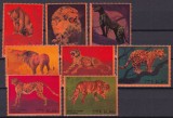 Oman fauna MNH, Nestampilat