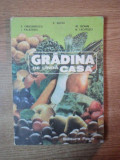 GRADINA DE LANGA CASA de Z. SUCIU , E. DRAGANESCU , N. LACATUSU ... , Timisoara 1983 * PREZINTA HALOURI DE APA