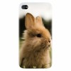 Husa silicon pentru Apple Iphone 4 / 4S, Cute Rabbit In Grass