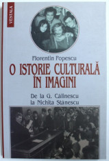 O ISTORIE CULTURALA IN IMAGINI - DE LA G. CALINESCU la NICHITA STANESCU de FLORENTIN POPESCU , 2008 , DEDICATIE* foto
