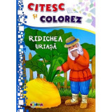 Citesc si colorez. Ridichea uriasa