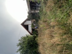 Casa Ru?i Sibiu foto