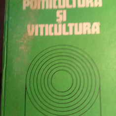 Pomicultura și viticultură,a negrila