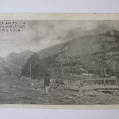 Rara! C.P.Valea Argesului:Vedere spre cetatea Tepes-Voda/Poenari,circul.anii 20