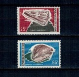 Cote Divoire 1972 - Fauna marina (IV), cochilii, serie neuzata