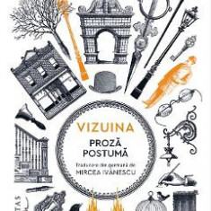Vizuina. Proza postuma - Franz Kafka